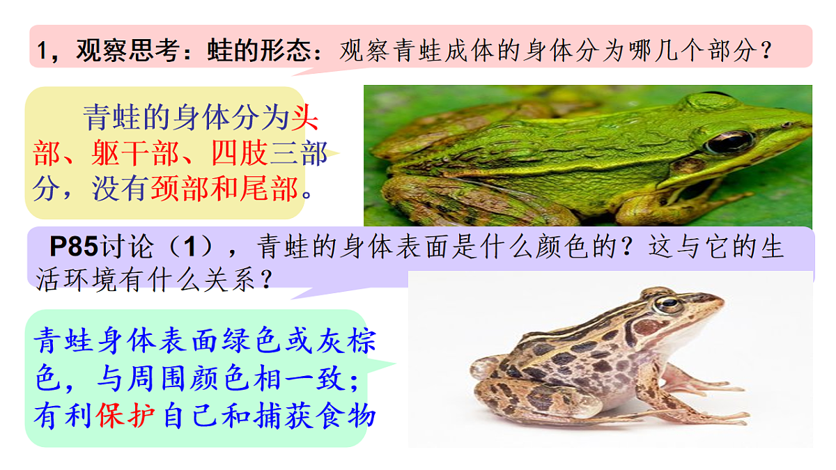 17670579第5页