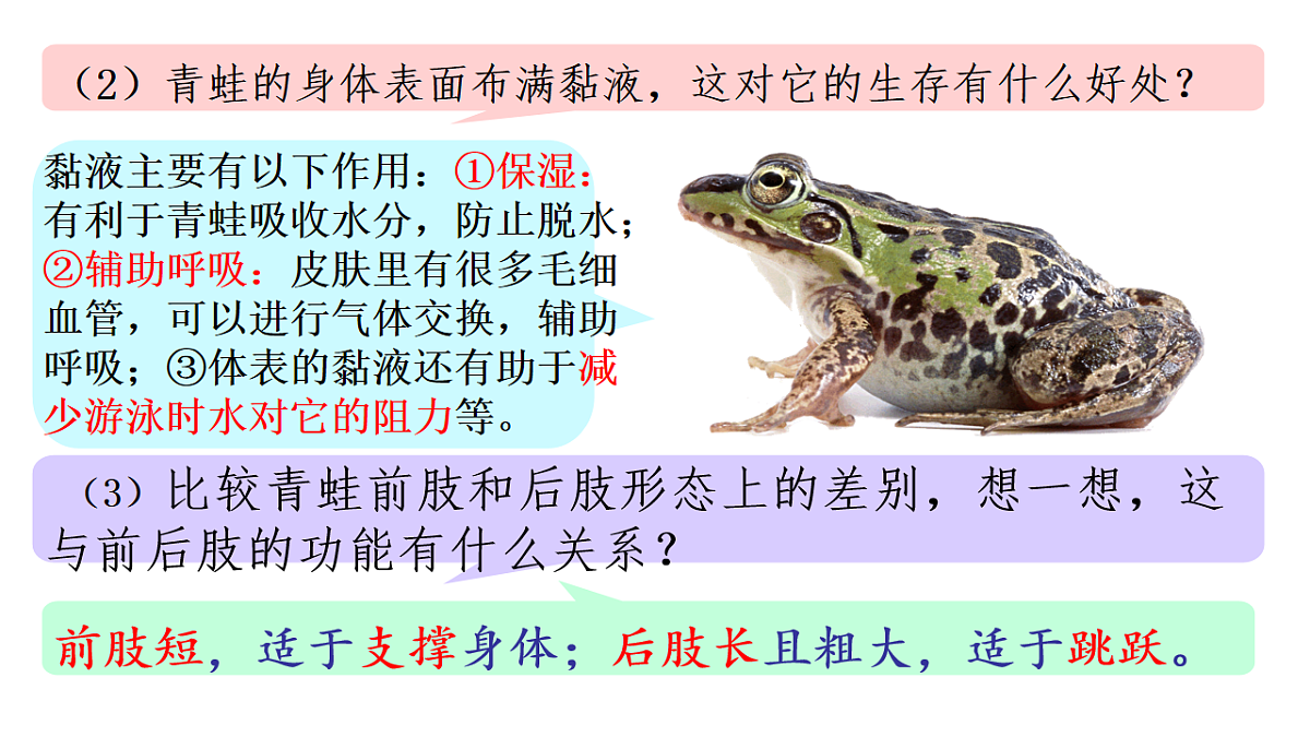 17670579第6页