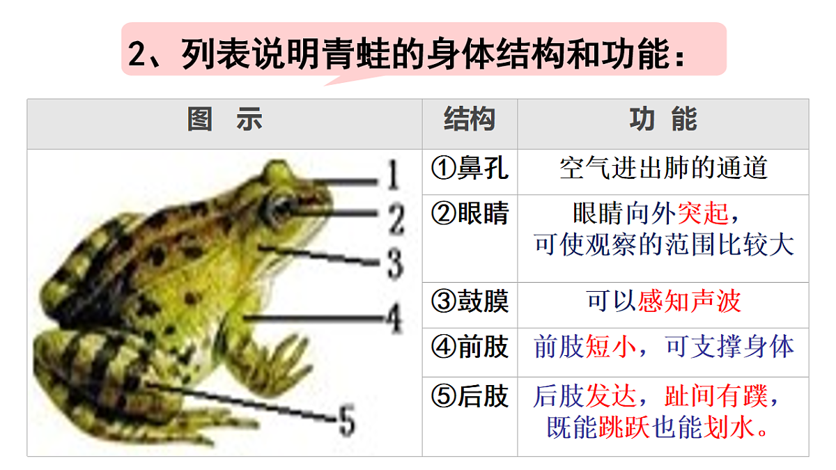 17670579第7页