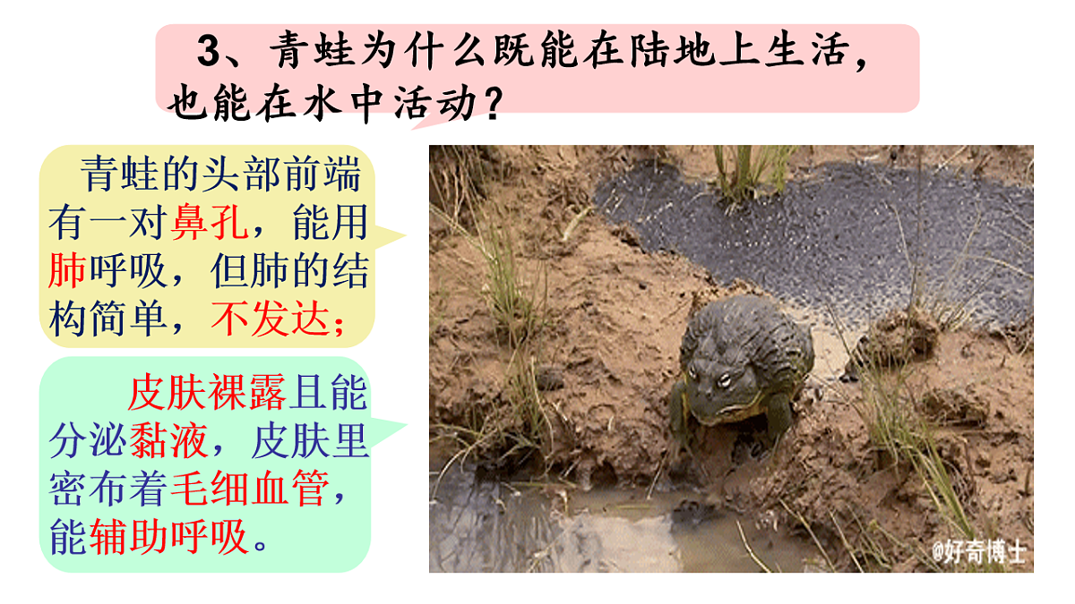17670579第8页