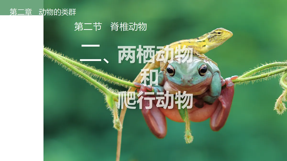 17670580第1页