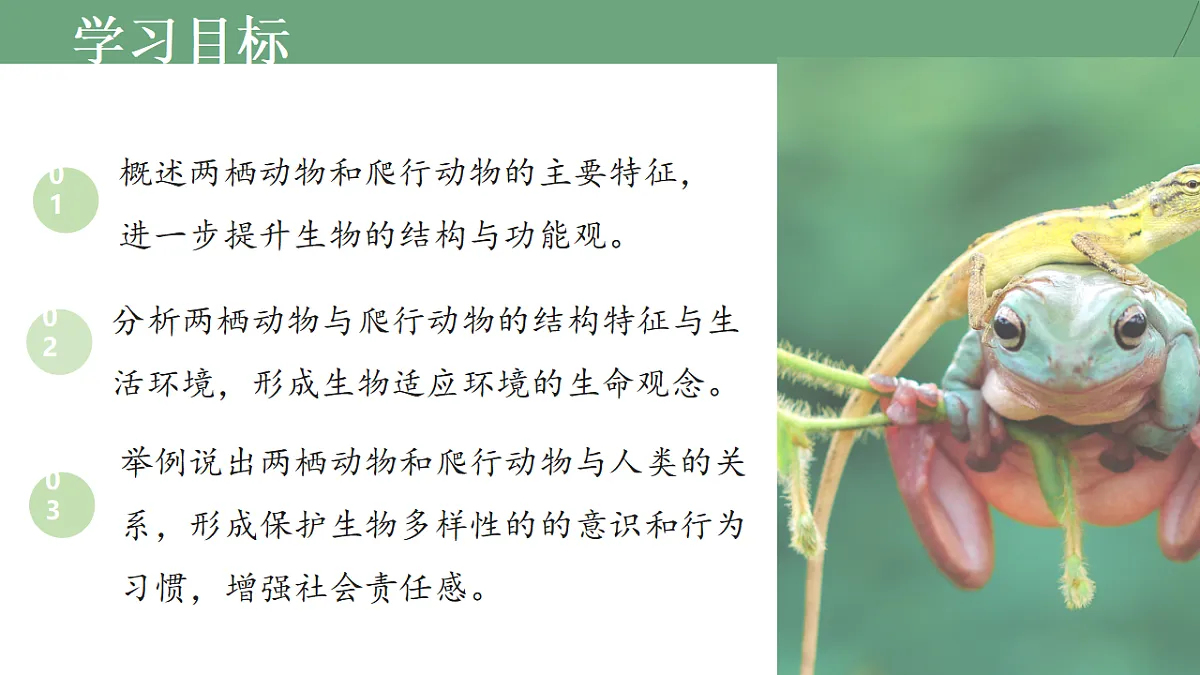 17670580第2页