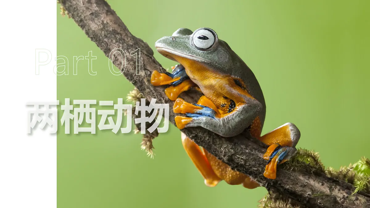 17670580第4页