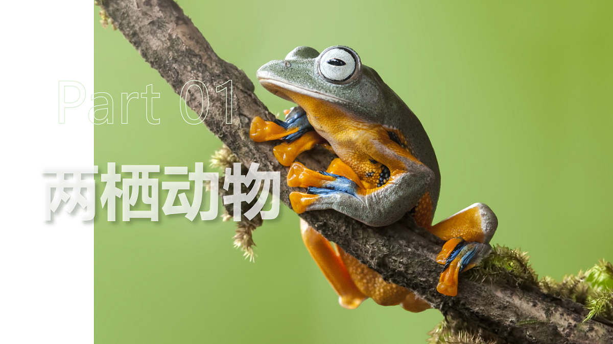 17670580第4页