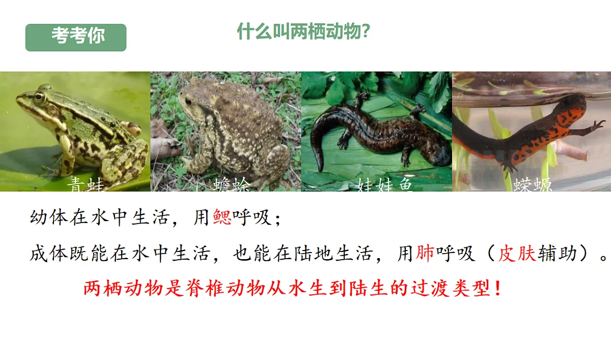 17670580第5页
