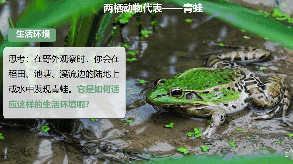 17670580第6页