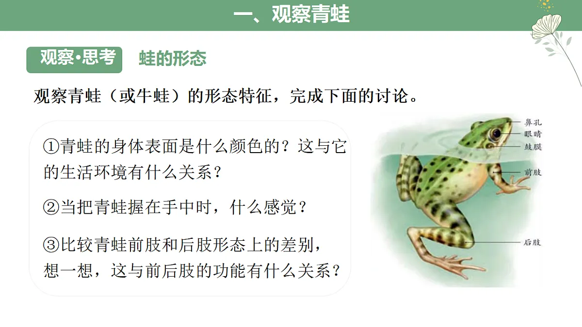 17670580第7页