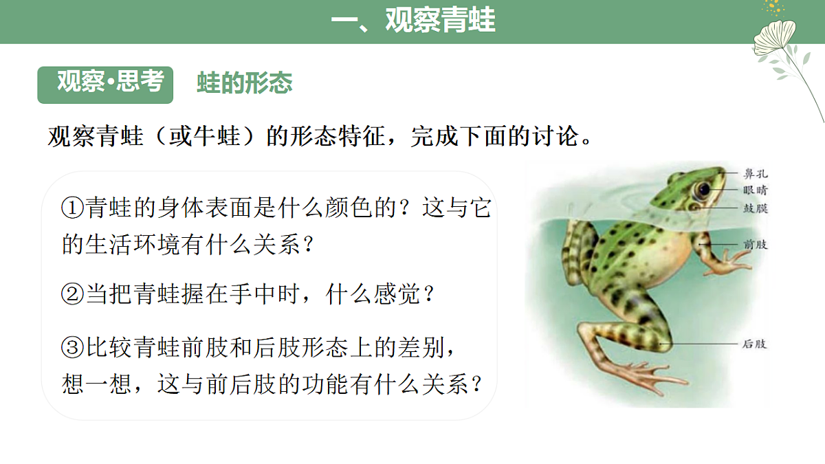 17670580第7页