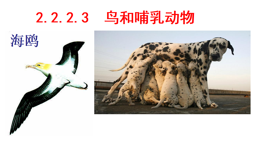 17670581第1页