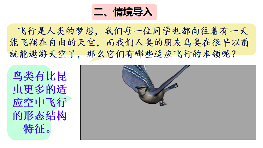 17670581第2页