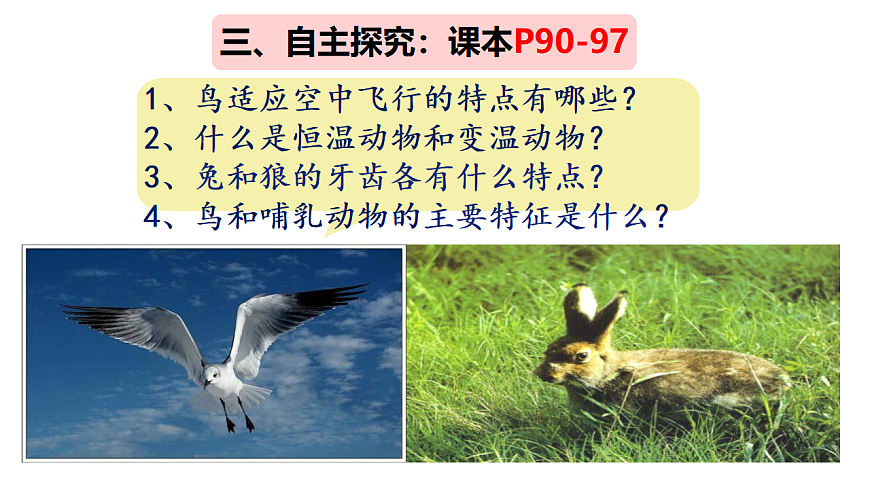 17670581第3页
