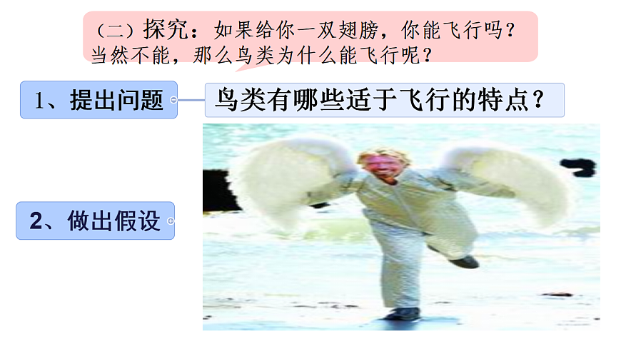 17670581第5页