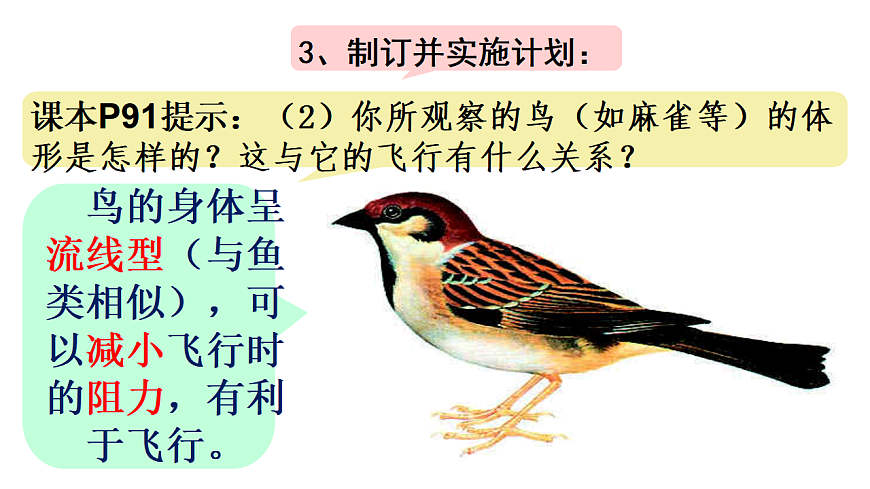 17670581第6页