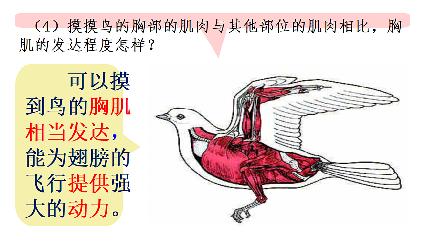 17670581第8页