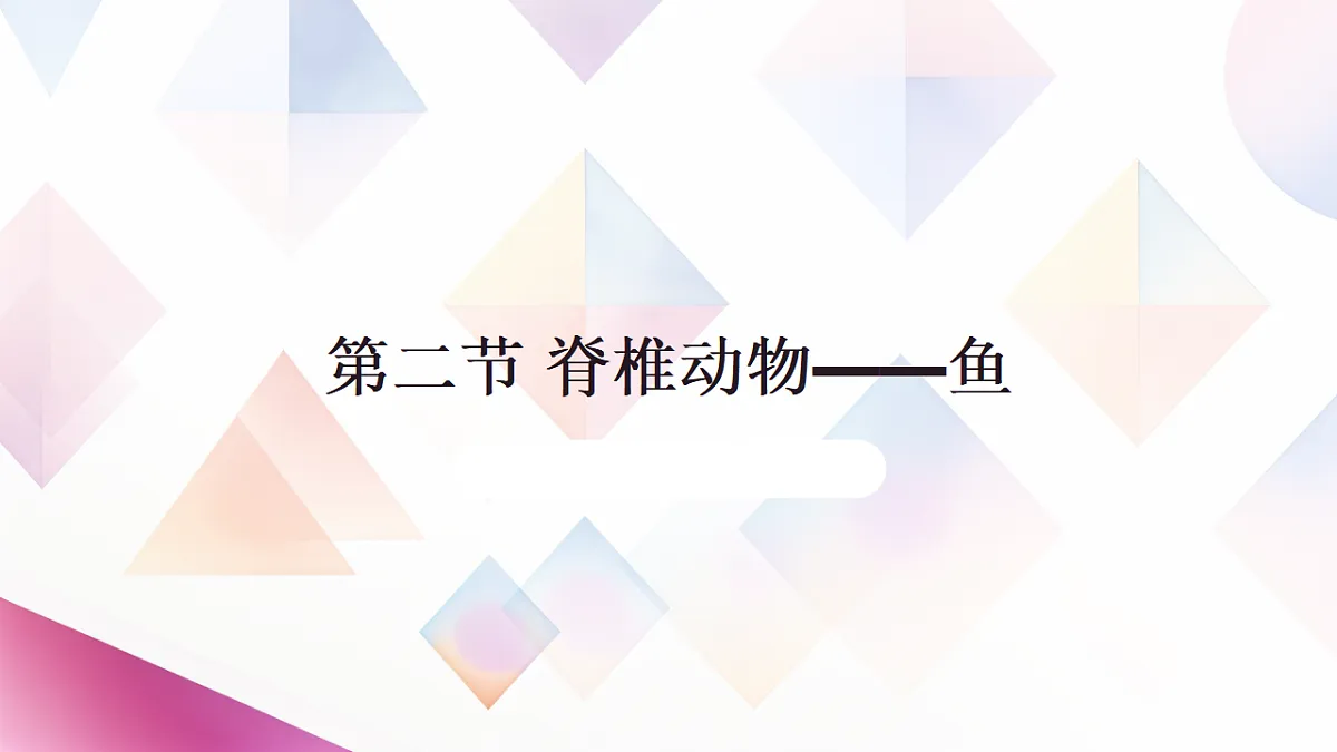 17670583第1页