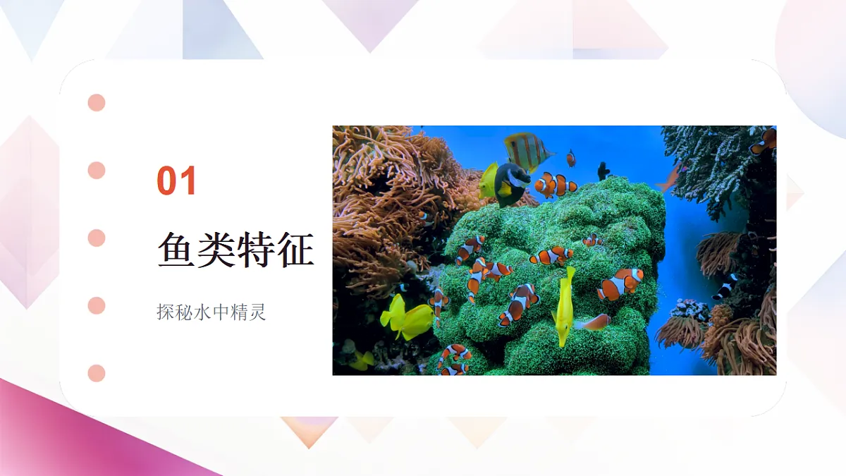 17670583第3页