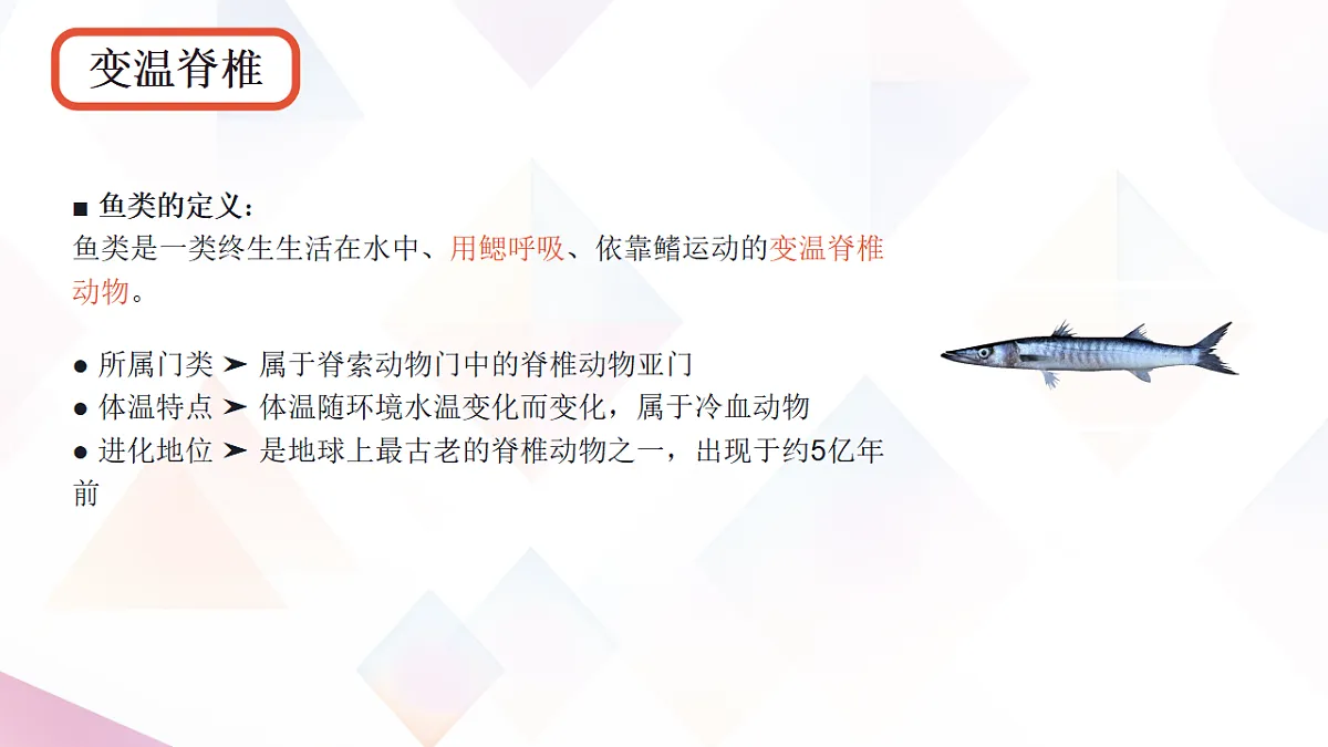 17670583第4页