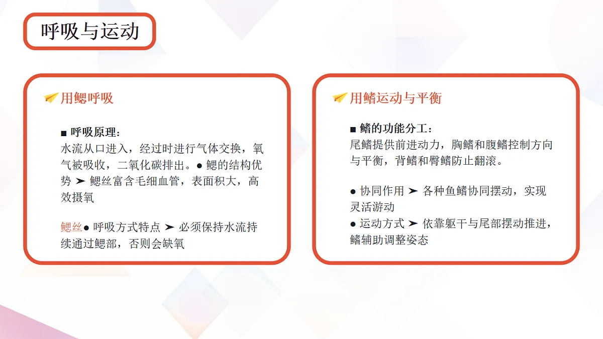 17670583第5页