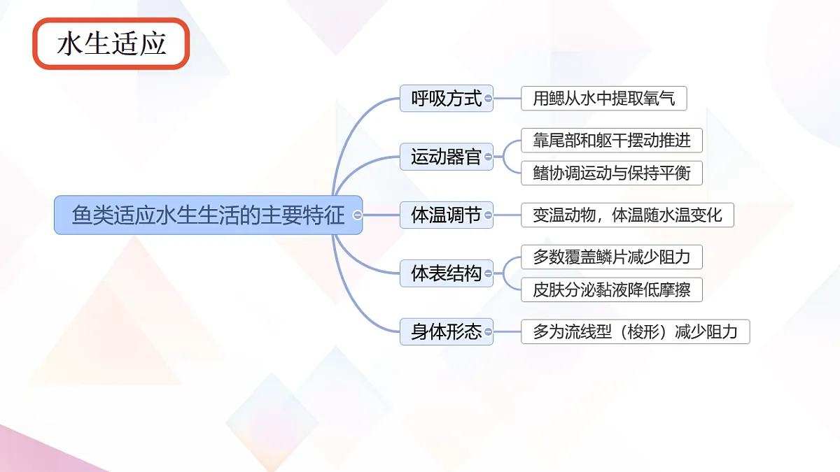 17670583第6页