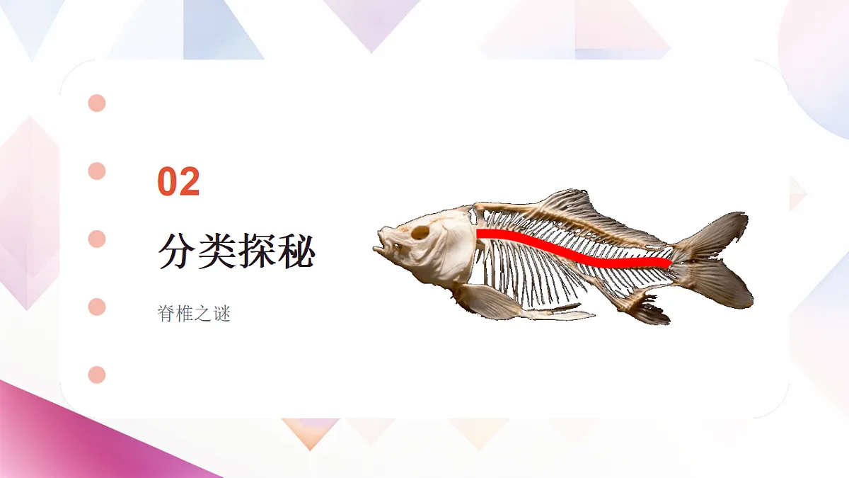 17670583第7页