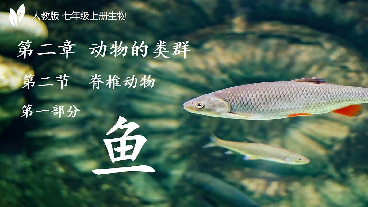 17670585第1页