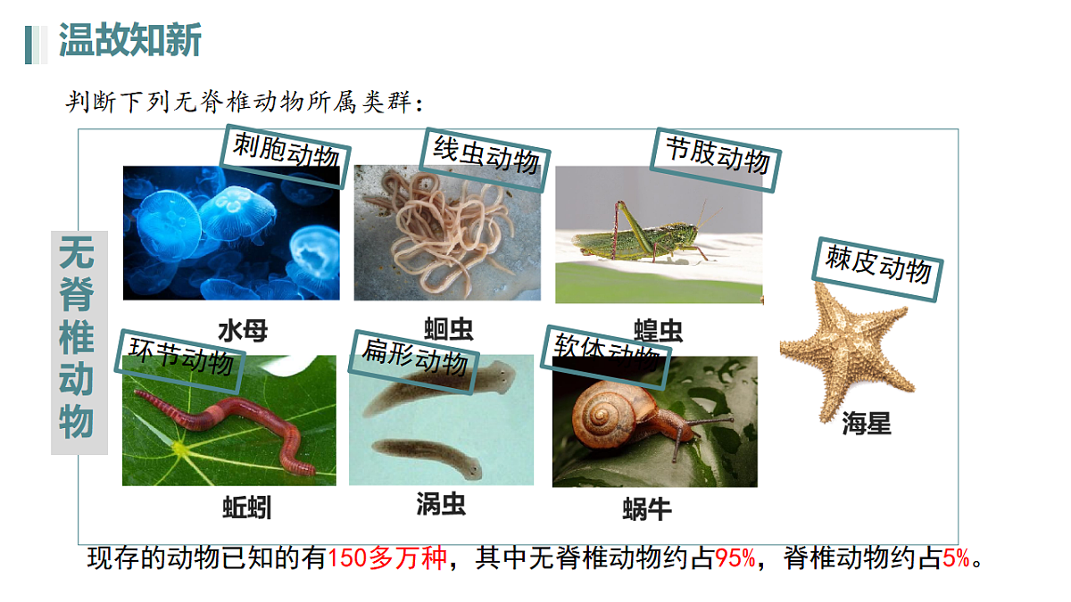 17670585第2页