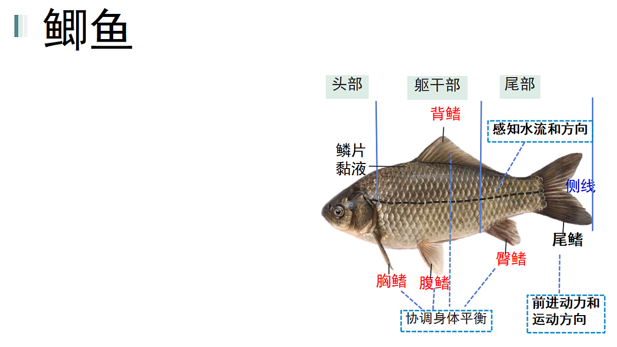 17670585第5页