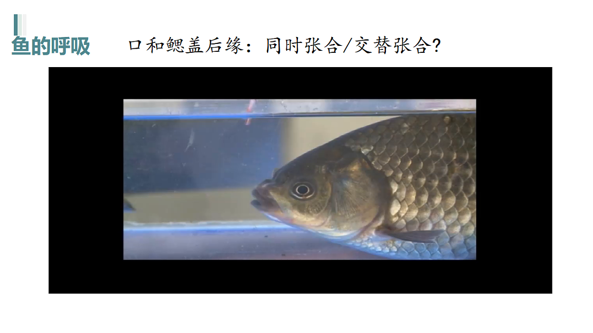 17670585第6页