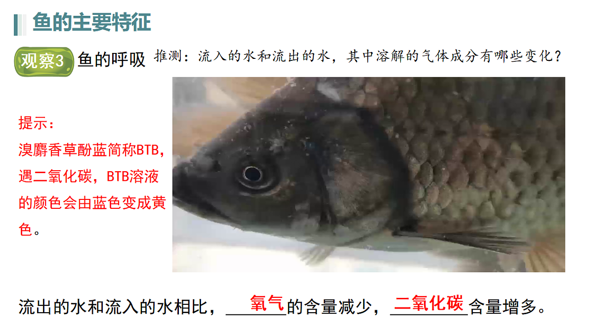 17670585第7页
