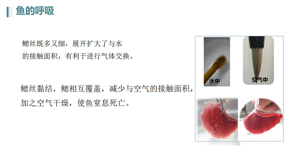 17670585第8页