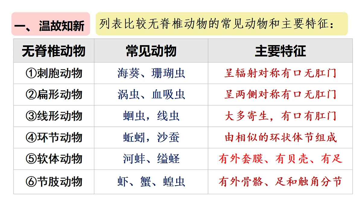17670586第2页