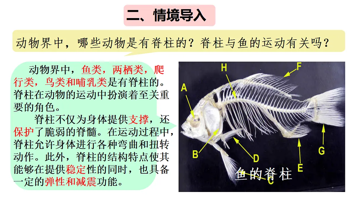 17670586第3页