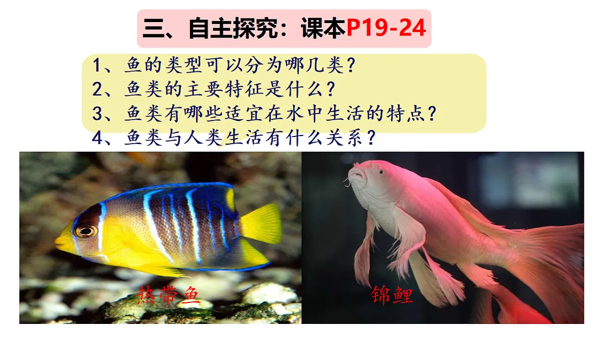 17670586第4页