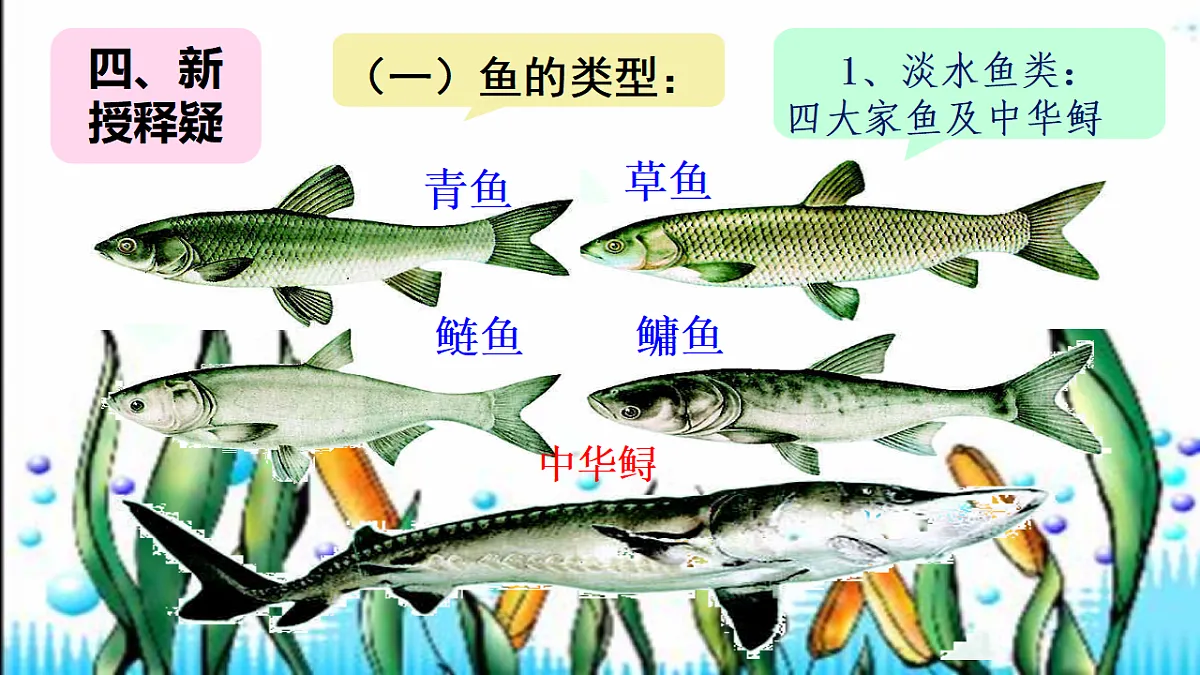 17670586第5页