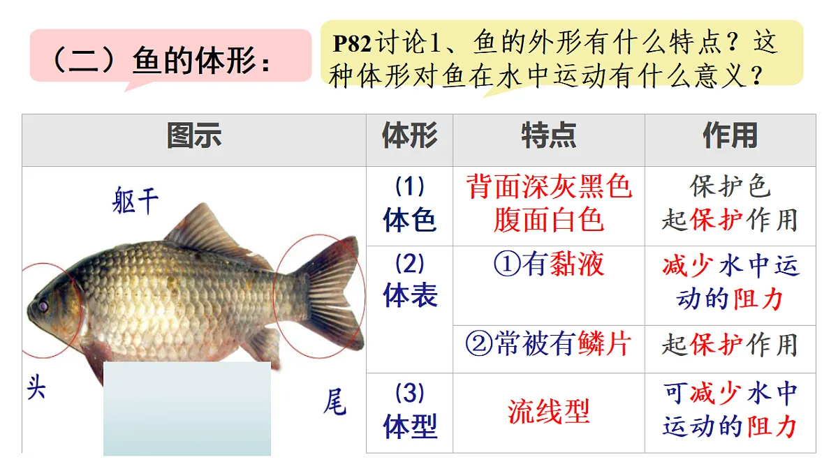 17670586第7页