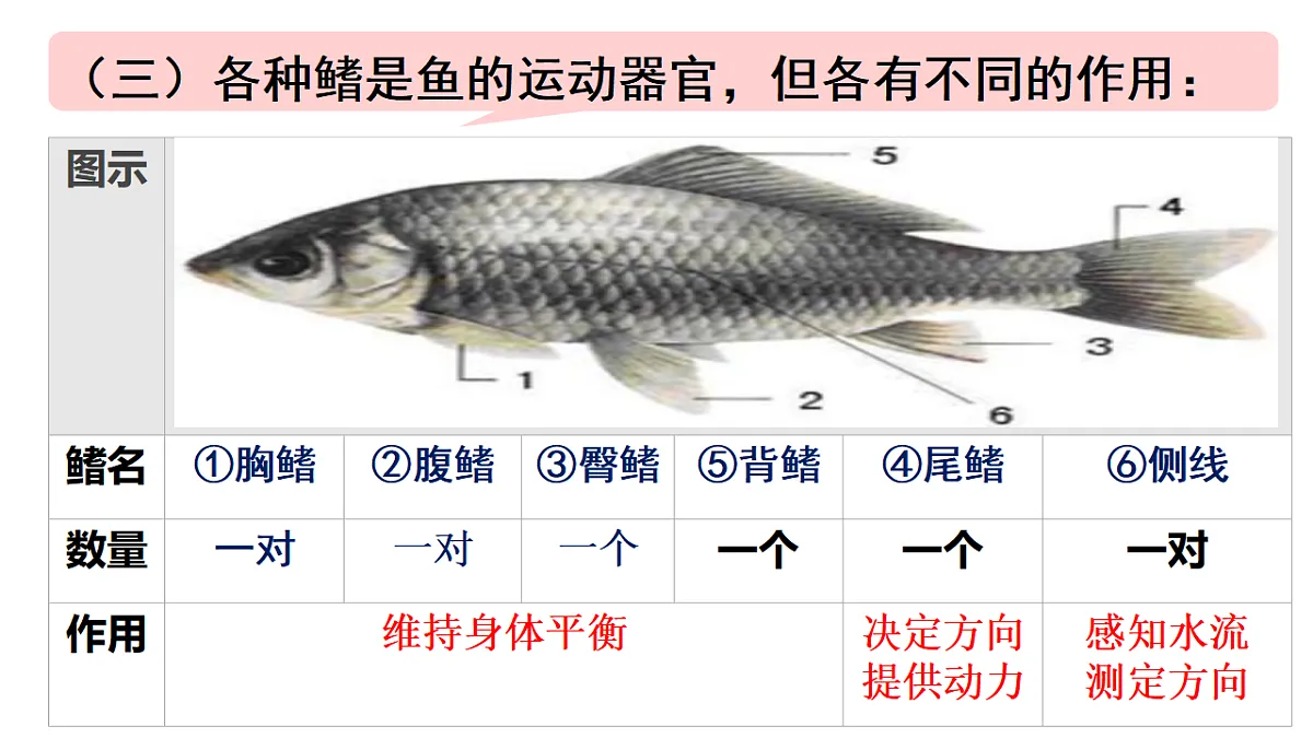 17670586第8页