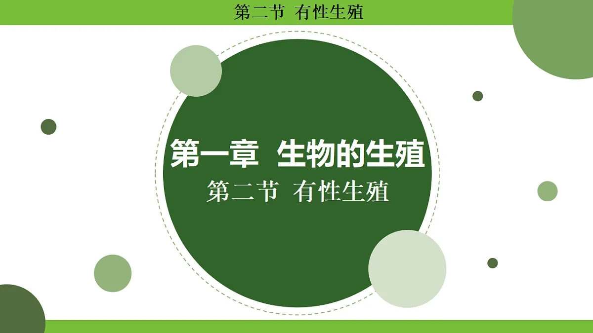 17670648第1页
