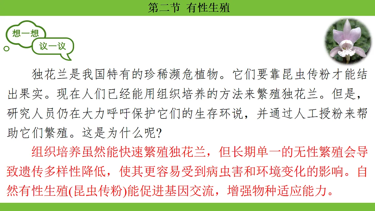 17670648第3页