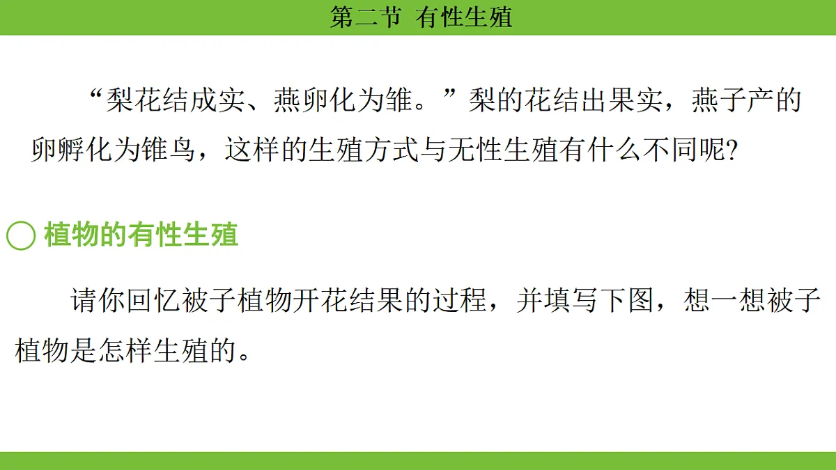 17670648第4页