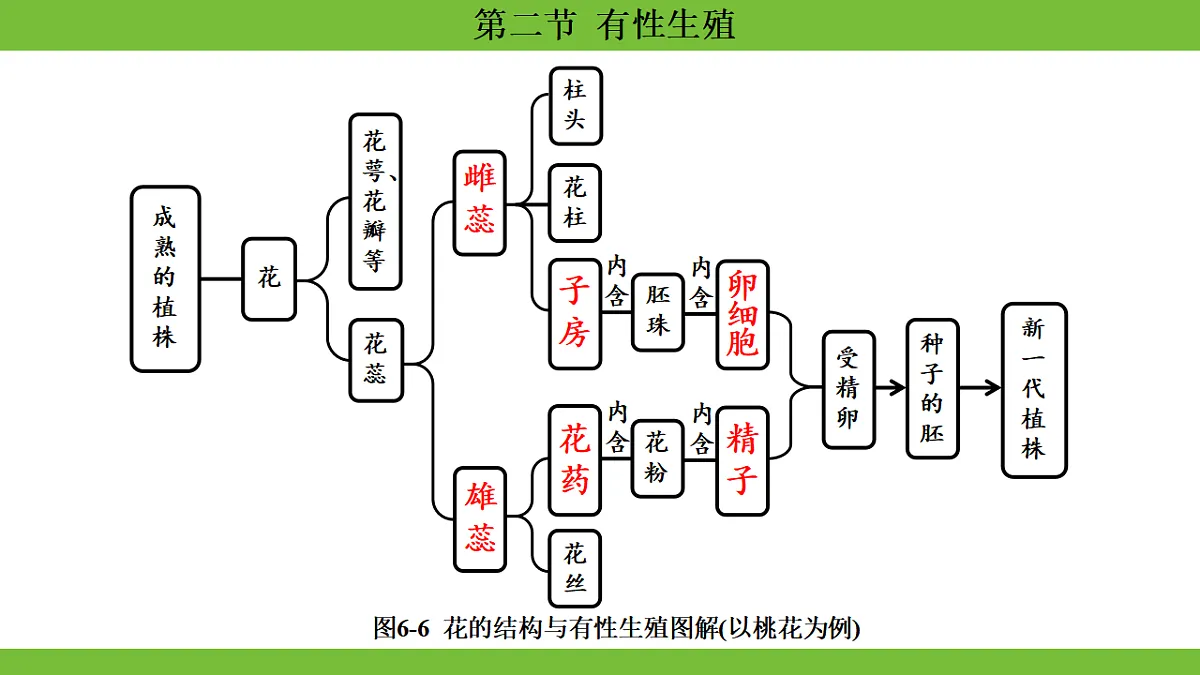 17670648第5页