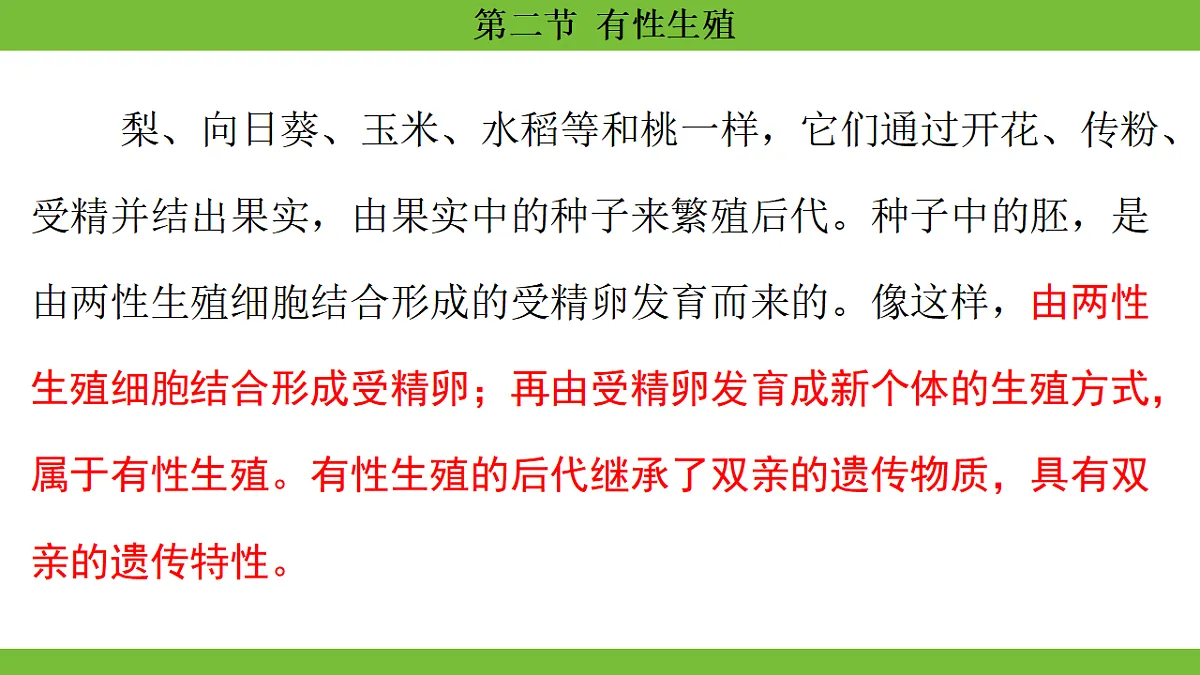 17670648第6页