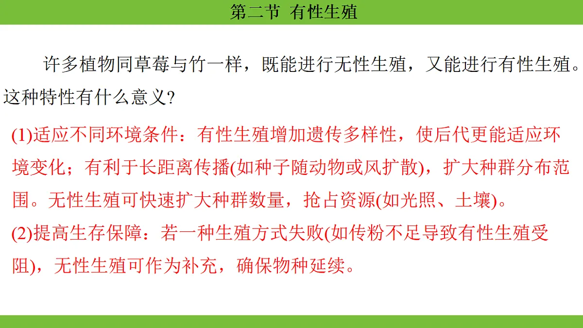 17670648第7页