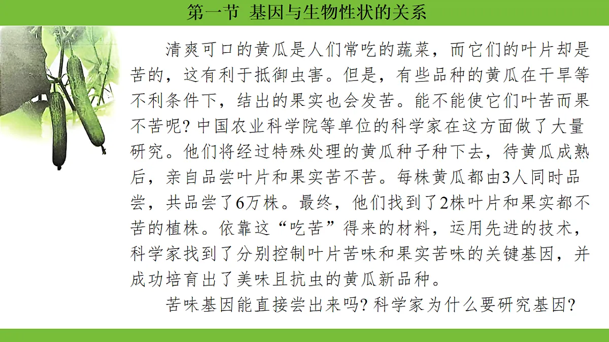 17670649第3页