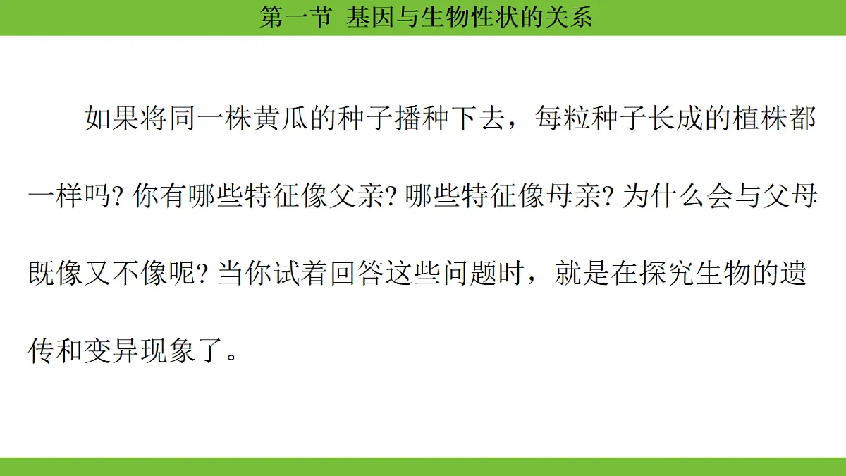 17670649第5页