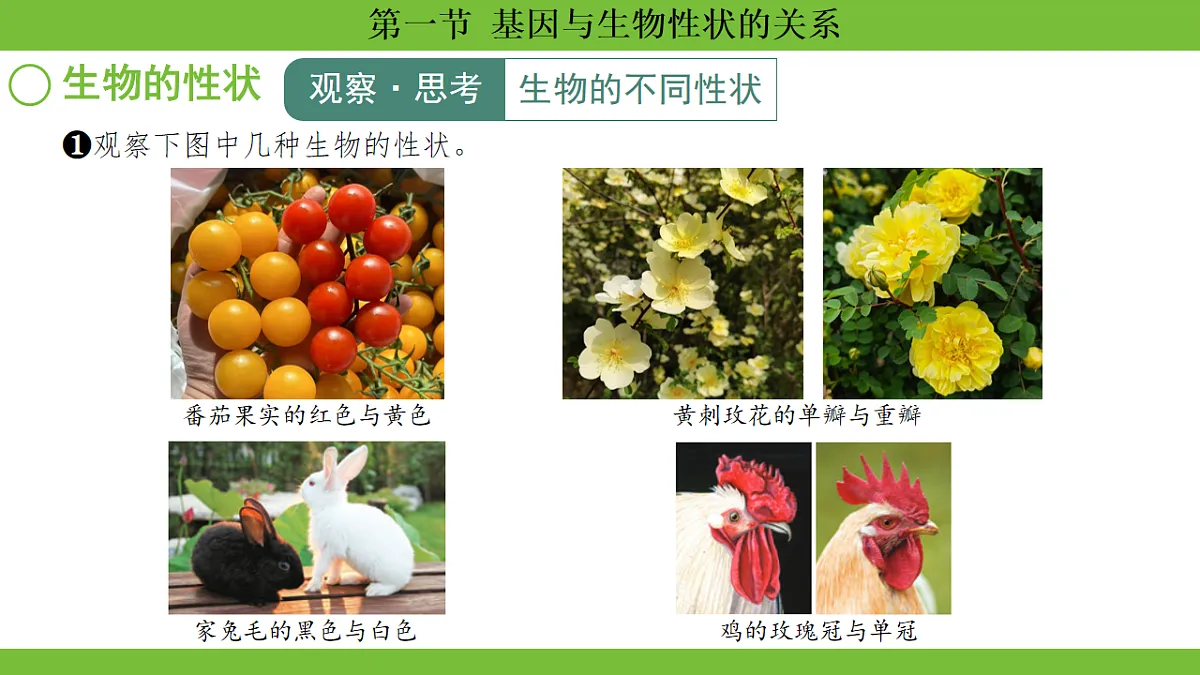 17670649第7页