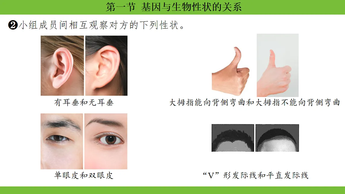 17670649第8页