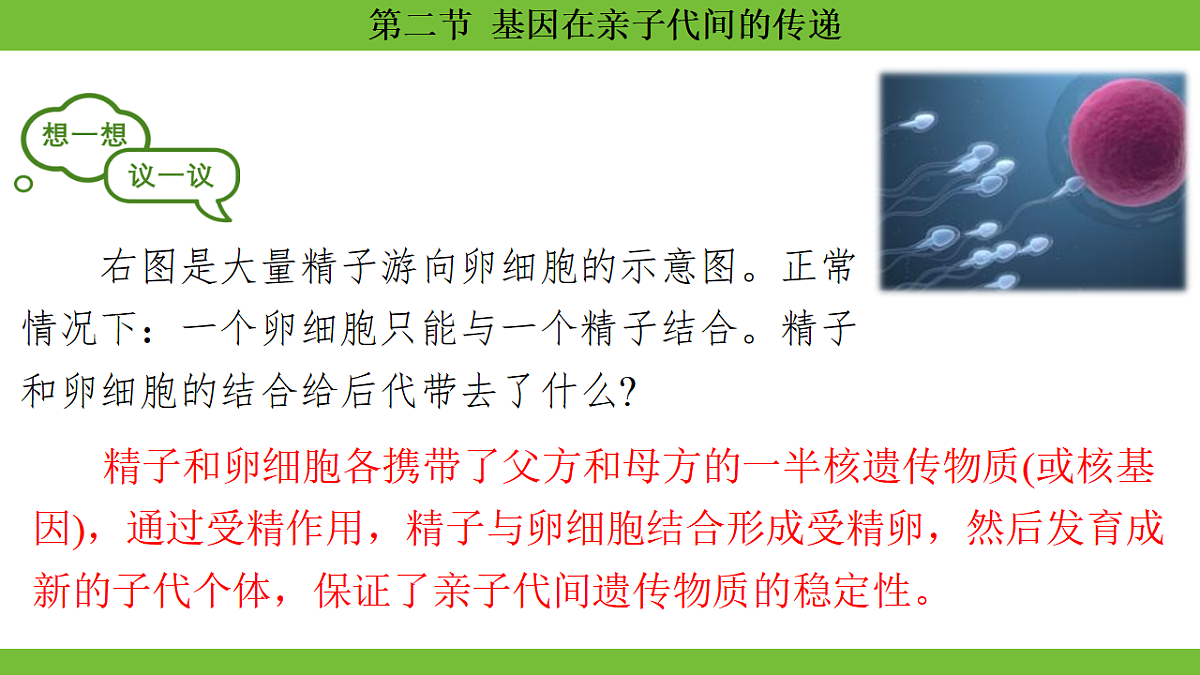 17670650第3页