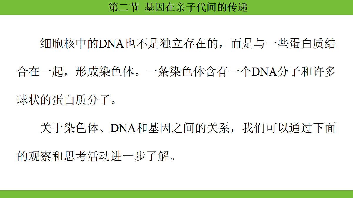 17670650第7页