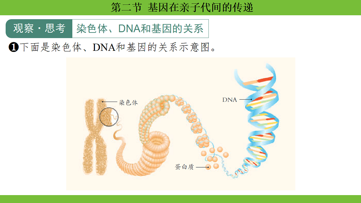 17670650第8页