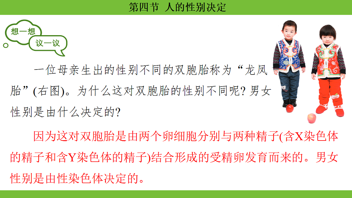 17670652第3页